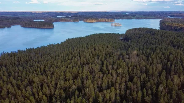 Flygfoto Över Sjön Jazinks Vid Aglona Lettland Tallskog Bakgrunden Solig — Stockfoto