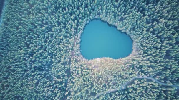 悪魔の湖ヴェルネザー コルトックまたはチョルトック湖の空中ビュー 透明ベルネザーズレイクは17メートルの深さで ラトビアのラグーンに位置しています — ストック動画