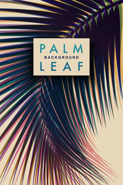 Fond de palmier tropical — Image vectorielle