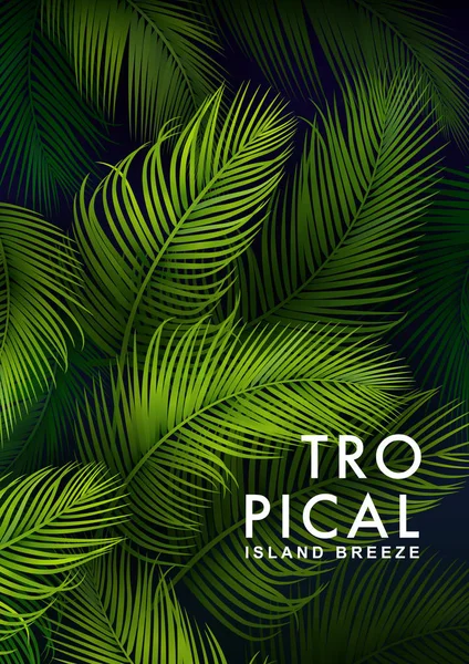 Fundo de palma tropical —  Vetores de Stock