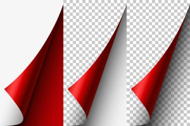 Kıvrık Sayfa Köşesi. Vektör illüstrasyonu. 