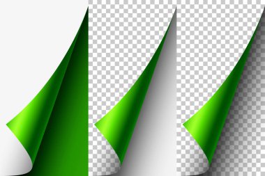 Kıvrık Sayfa Köşesi. Vektör illüstrasyonu. 