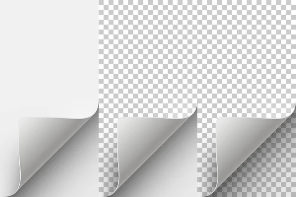 Curled Page Corner. Illustration vectorielle . — Image vectorielle