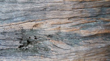 Eski ahşap doku arkaplanı.