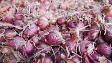 yığın kırmızı soğan yemek için