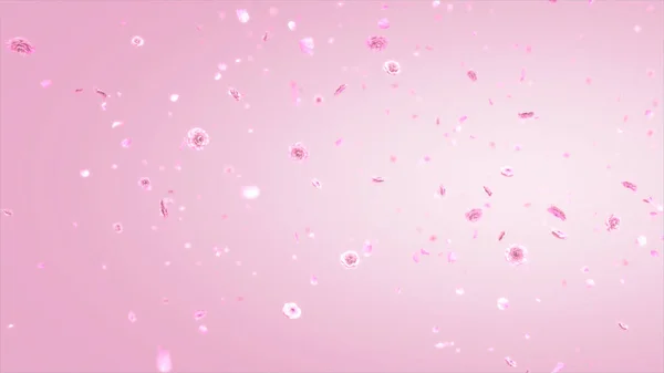 空中にピンクのカーネーションの花を咲かせます 3Dレンダリング — ストック写真