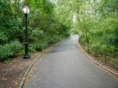 Geçit sonbahar Central Park'ta