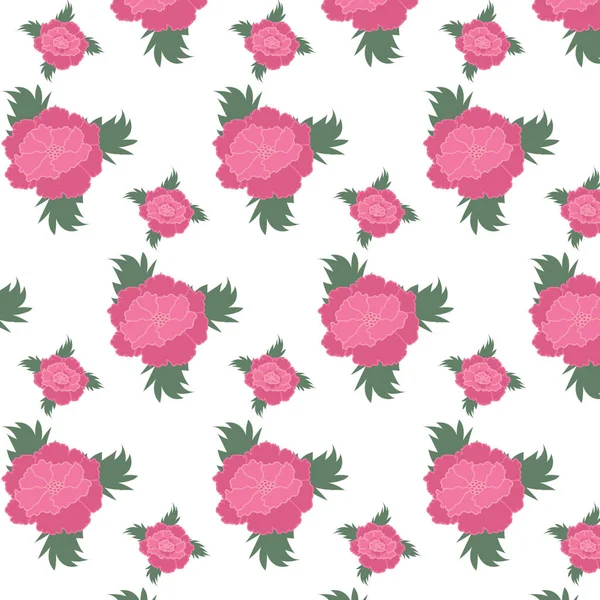 Peonía flores rosas fondo blanco vector abstracto dibujo sin costuras — Vector de stock