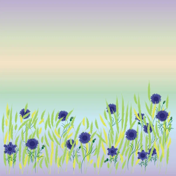 Feld Kornblume blau Blumen Frühling Weizen Gras Vektor Hintergrund — Stockvektor