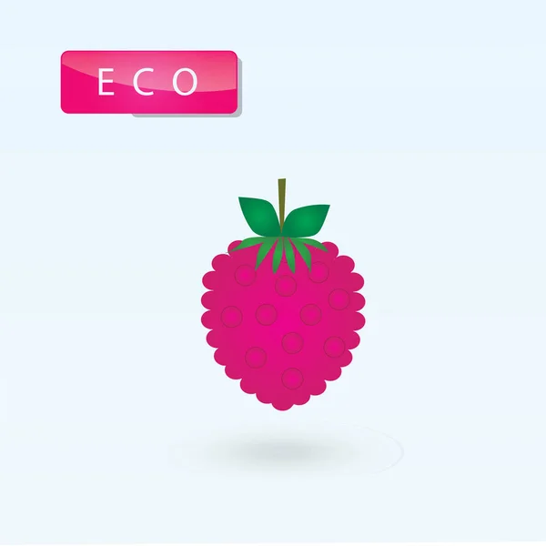 Дизайн логотипу малини ЕКО ярлик ізольовані ілюстрації абстрактне мистецтво Векторний світлий фон — стоковий вектор