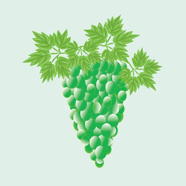 Cacho de uvas verdes com folhas isoladas ilustração arte abstrata vetor branco — Vetor de Stock