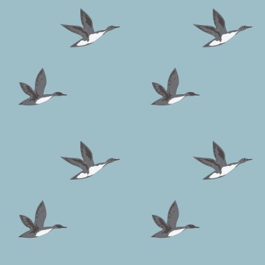 Yaban ördekleri gri bir açık mavi renkli sanat tasarlamak yaratıcı modern vektör çizim üzerinde uçan desen