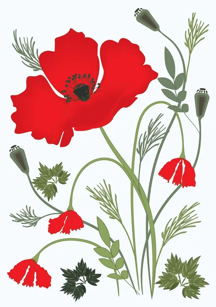 Flores silvestres raminhos de papoula vermelha de folhas de ervas no fundo de luz arte moderna ilustração vetor criativo —  Vetores de Stock