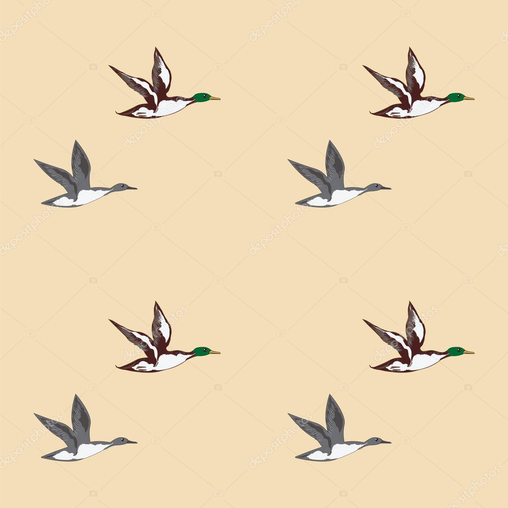 Pattern flying wild ducks light background art abstract creative modern vector illustration