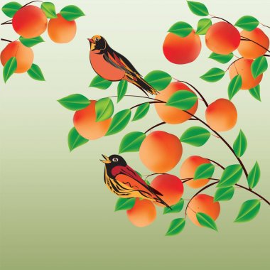 Kayısı şeftali ve açık yaratıcı renkli soyut modern vektör iki parlak kuş ile şube