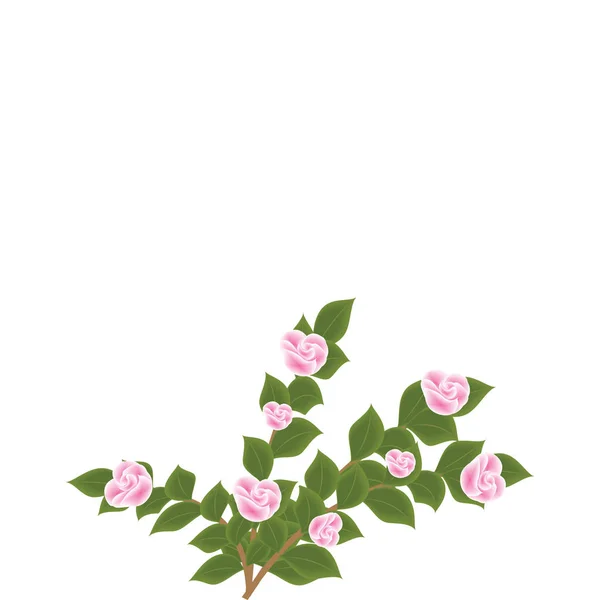Flores tiernas sobre ramas verdes de rosa magnolia jazmín aislado sobre fondo blanco arte abstracto moderno creativo vector — Vector de stock