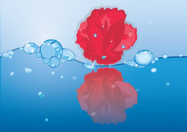 Rosas rojas fondo abstracto azul gotas espejo de rocío reflexión arte abstracto vector creativo ilustración tarjeta de felicitación — Archivo Imágenes Vectoriales