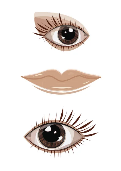 Set brown eyes, lips close-up isolated on a white background art creative vector element for design — Stock Vector