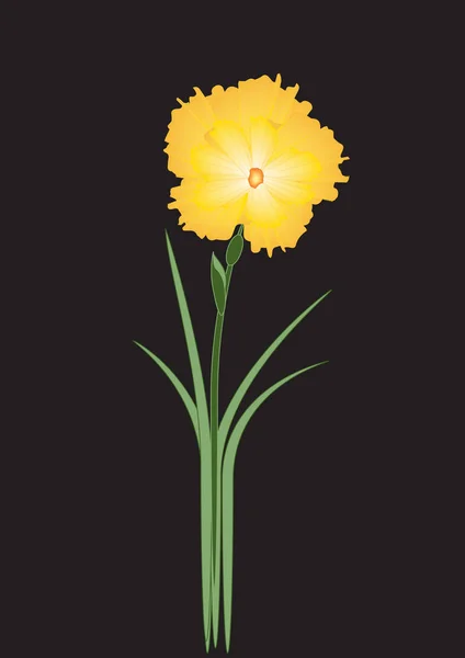 Narcissus ljust gul på en svart bakgrund konst abstrakt kreativa vektor — Stock vektor