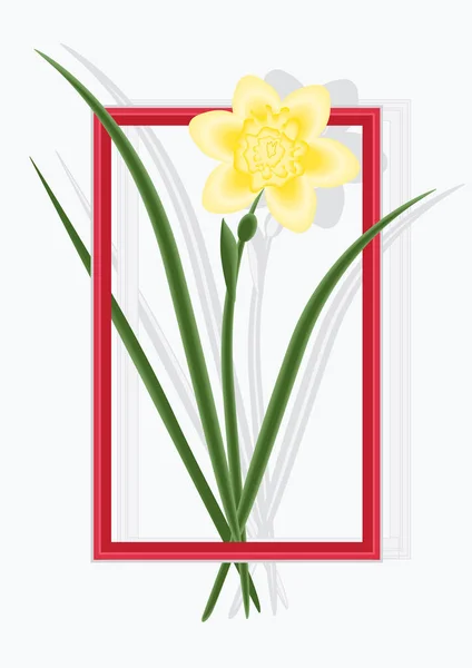 Daffodil frame shadow isolated on white background art creative vector illustration — Stock Vector