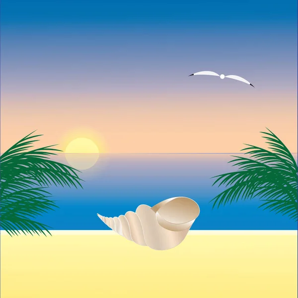 Meer Sonnenaufgang Sonnenuntergang Strand groß Meer Muschel Möwe Palme Kunst kreativ modern abstrakte Illustration eines blauen Hintergrund Vektor — Stockvektor