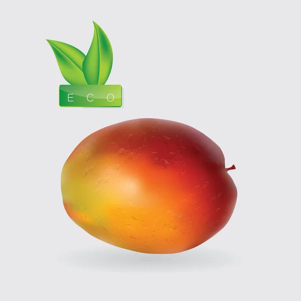 Mango maduro logotipo realista eco hojas verdes aisladas sobre fondo blanco arte elemento vectorial creativo para el diseño — Archivo Imágenes Vectoriales