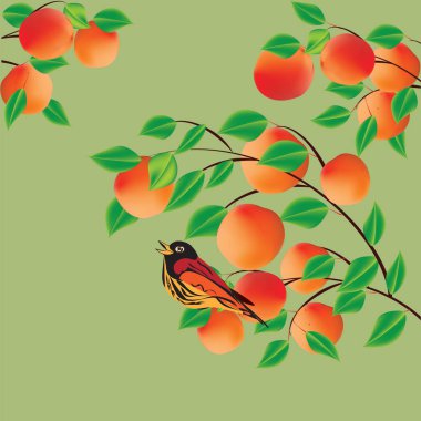 Kayısı şeftali ile şube ve parlak bir kuş ve arka plan üzerinde yaratıcı sanat soyut modern vektör ışık