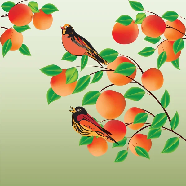 Kayısı şeftali ve açık yaratıcı renkli soyut modern vektör iki parlak kuş ile şube