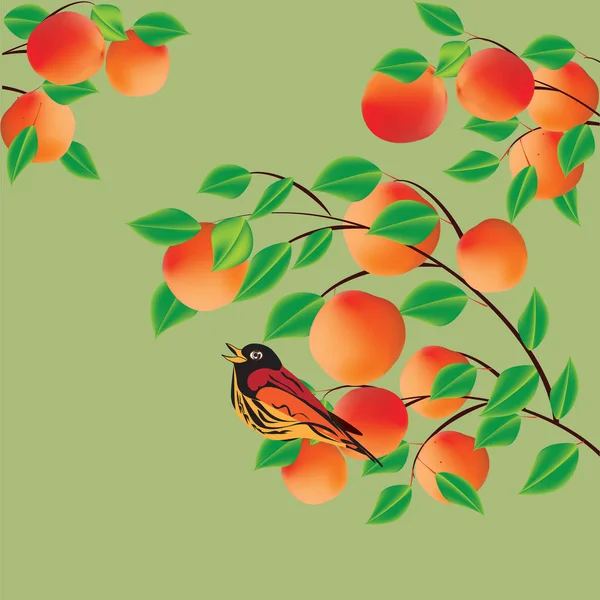 Kayısı şeftali ile şube ve parlak bir kuş ve arka plan üzerinde yaratıcı sanat soyut modern vektör ışık