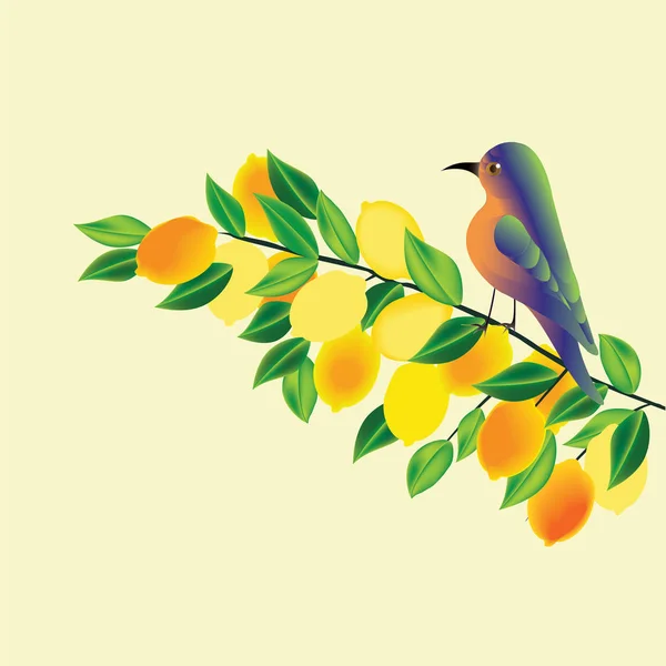 Oddział z cytryn żółty i egzotycznych ptaków na jasnym tle creative sztuka abstrakcyjna nowoczesne wektor — Wektor stockowy