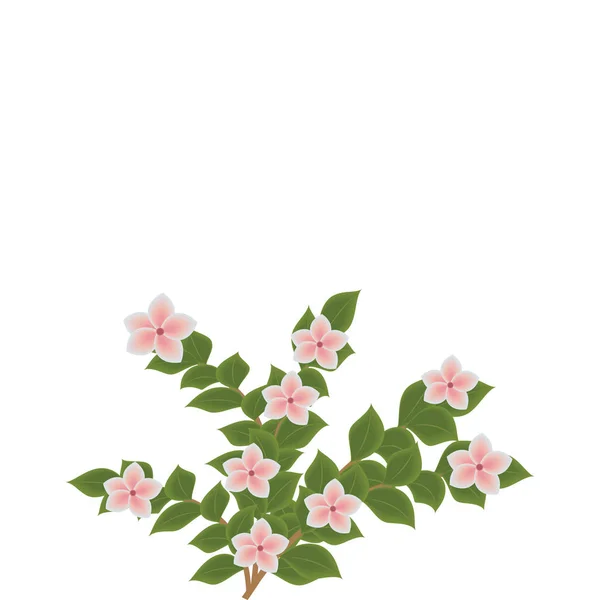 Zarte rosa Blüten auf Ästen isoliert auf Hintergrund weiße Kunst abstrakte moderne kreative Vektor — Stockvektor