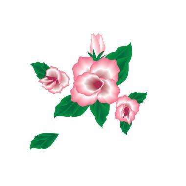 pembe çiçekler beyaz arka plan sanat yaratıcı vektör öğesi için tasarım üzerinde izole bud yeşil yaprakları gül