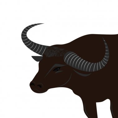 Uzun boynuzlu döndü - Asya buffalo beyaz arka plan üzerinde - izole sanat illüstrasyon vektör.