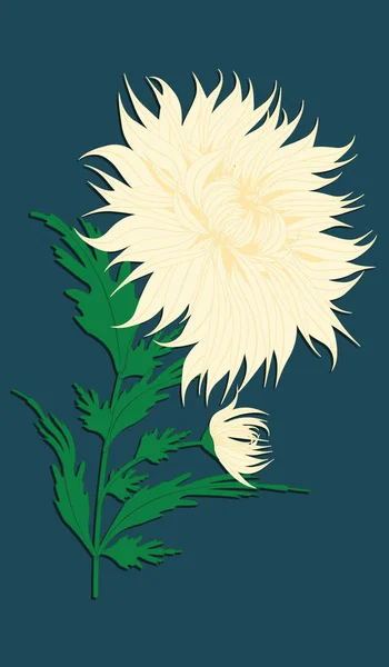 Crisantemo, amarillo claro - aislado sobre fondo verde oscuro - ilustración de arte vectorial — Vector de stock