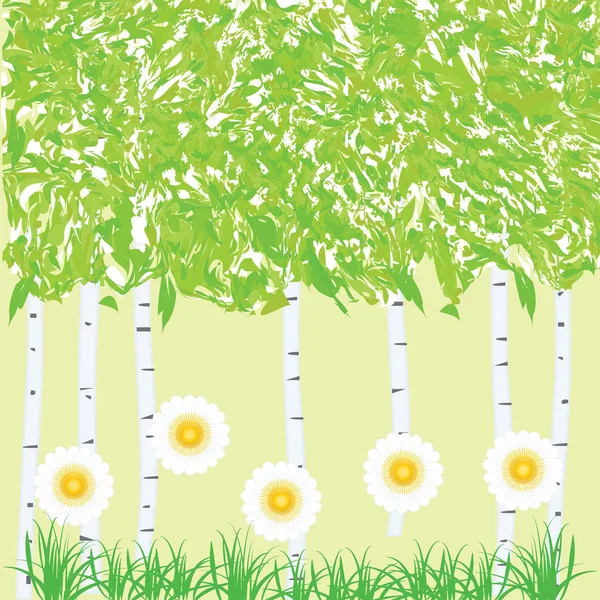 Berk grove - madeliefjes, vectorillustratie kunst gras - zachte voorjaar achtergrond- — Stockvector