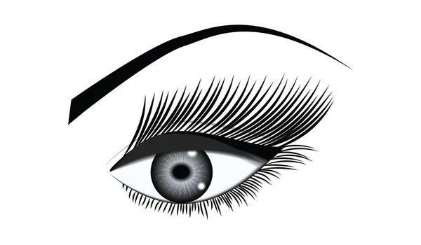 Occhio femminile, uno, primo piano - isolato, nero su sfondo bianco - vettore artistico. Elemento di progettazione — Vettoriale Stock