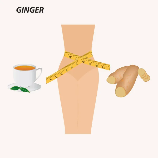 Ginger for weight loss - figure, measuring tape, cup of tea, root - isolated on a light background - vector — Stok Vektör