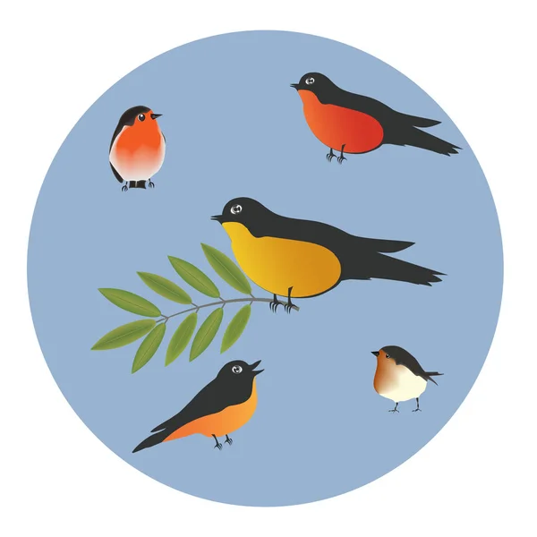 Paja, pinzones, bandada de aves - icono redondo - aislado sobre fondo blanco - vector. Protección Ambiental. Mundo animal . — Archivo Imágenes Vectoriales