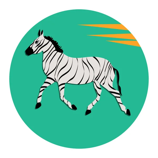 Zebra - ícone redondo - isolado em fundo branco - vetor. Protecção do ambiente. Mundo animal . — Vetor de Stock