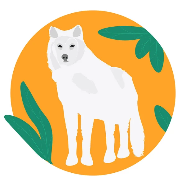 Волк белый - круглый значок - изолированный на белом фоне - вектор. Защита окружающей среды. Мир животных . — стоковый вектор