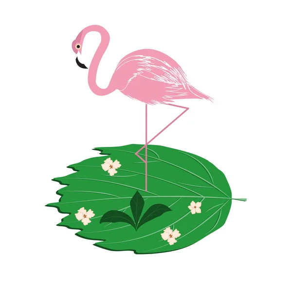 在白色背景向量上孤立的火烈鸟粉红抽象叶图标. 野生动物世界 旅程：. — 图库矢量图片
