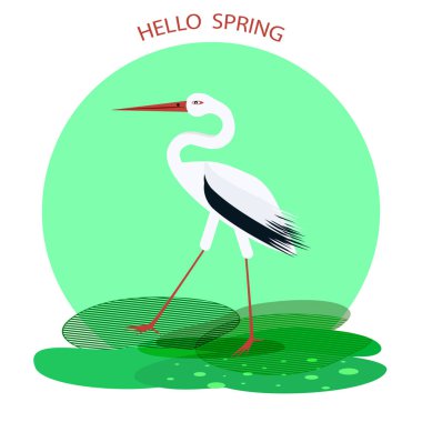 Leylek yeşil alanda duruyor - beyaz arkaplanda izole edilmiş simge - vektör. Kuşların dünyası.