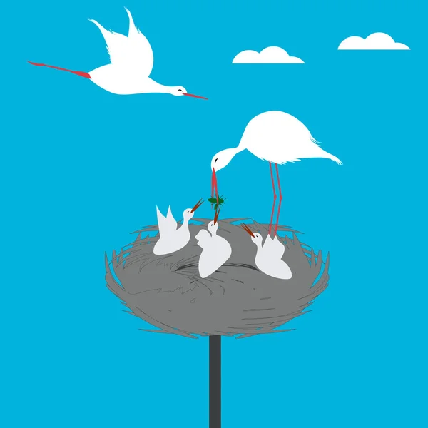 Stork family - bird feeds the chicks in the nest - vector. The world of birds. — 스톡 벡터