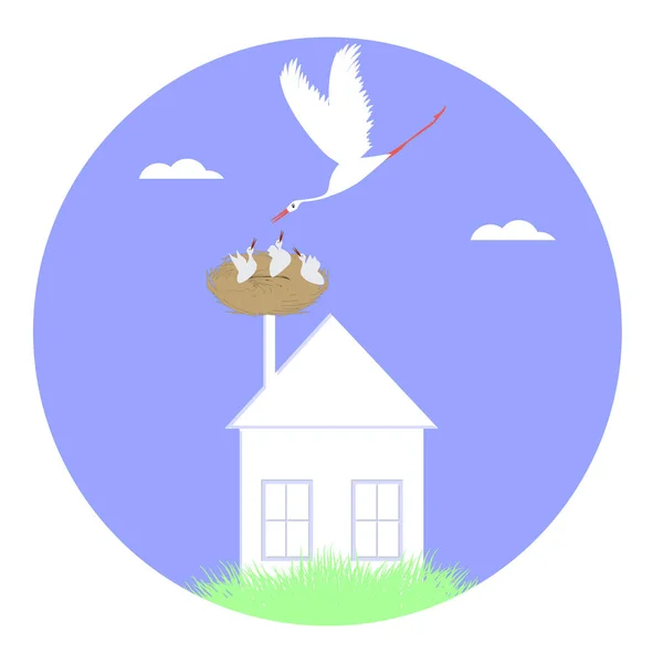 Störche - Küken in einem Nest auf dem Dach des Hauses - Symbol isoliert auf weißem Hintergrund - Vektor. die Welt der Vögel. — Stockvektor