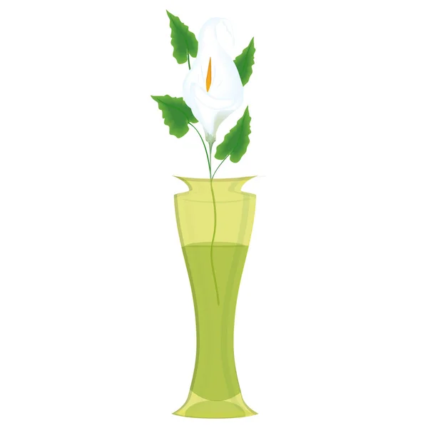 Calla, eine zarte Blume in einer transparenten gelben Vase - isoliert auf weißem Hintergrund - Illustration, Vektor. — Stockvektor