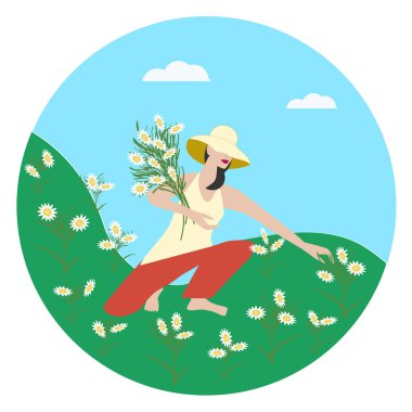 Kız bir buket çiçek topluyor - beyaz papatya - vektör. Gezinti. Turizm. Yaşam biçimi.