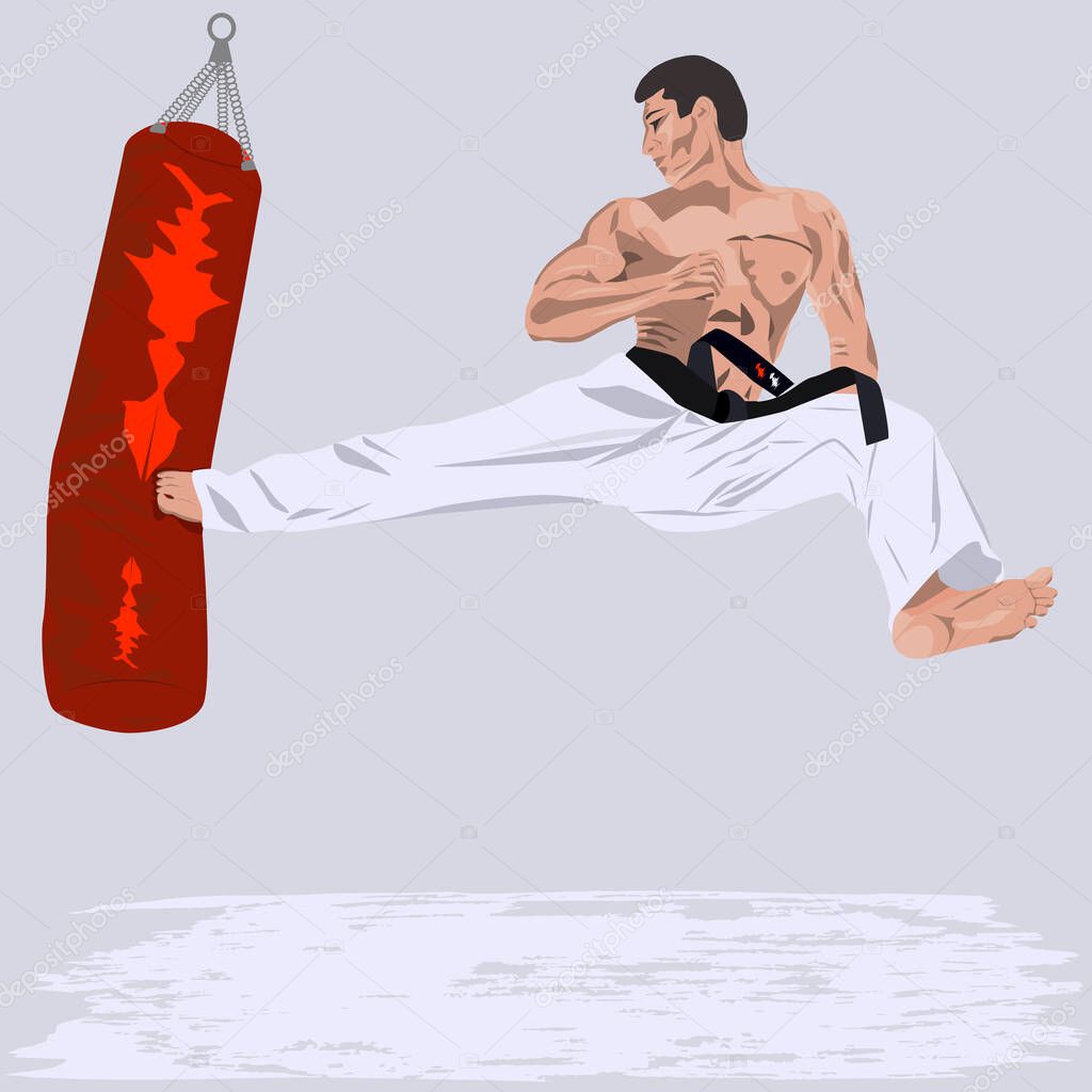 Karate - a man fulfills a kick on an inflatable bag - characteristic, emotional - vector. Martial arts. Sports banner