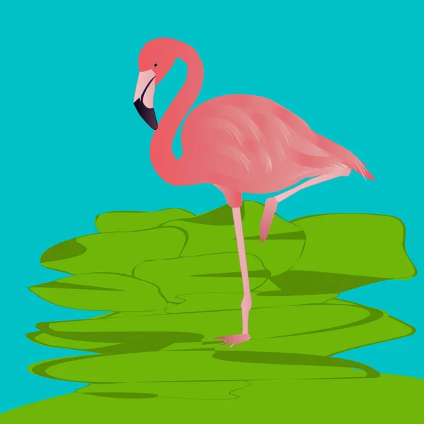 Flamingo Rosa Steht Auf Einem Bein Abstrakter Hintergrund Vektor Reisebanner — Stockvektor