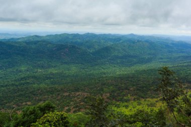 Güzellik Mount görünümü