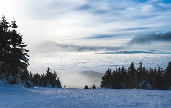 Single skier silhouette at a the piste — Stock Photo, Image